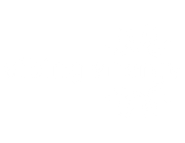 Vibing Energy